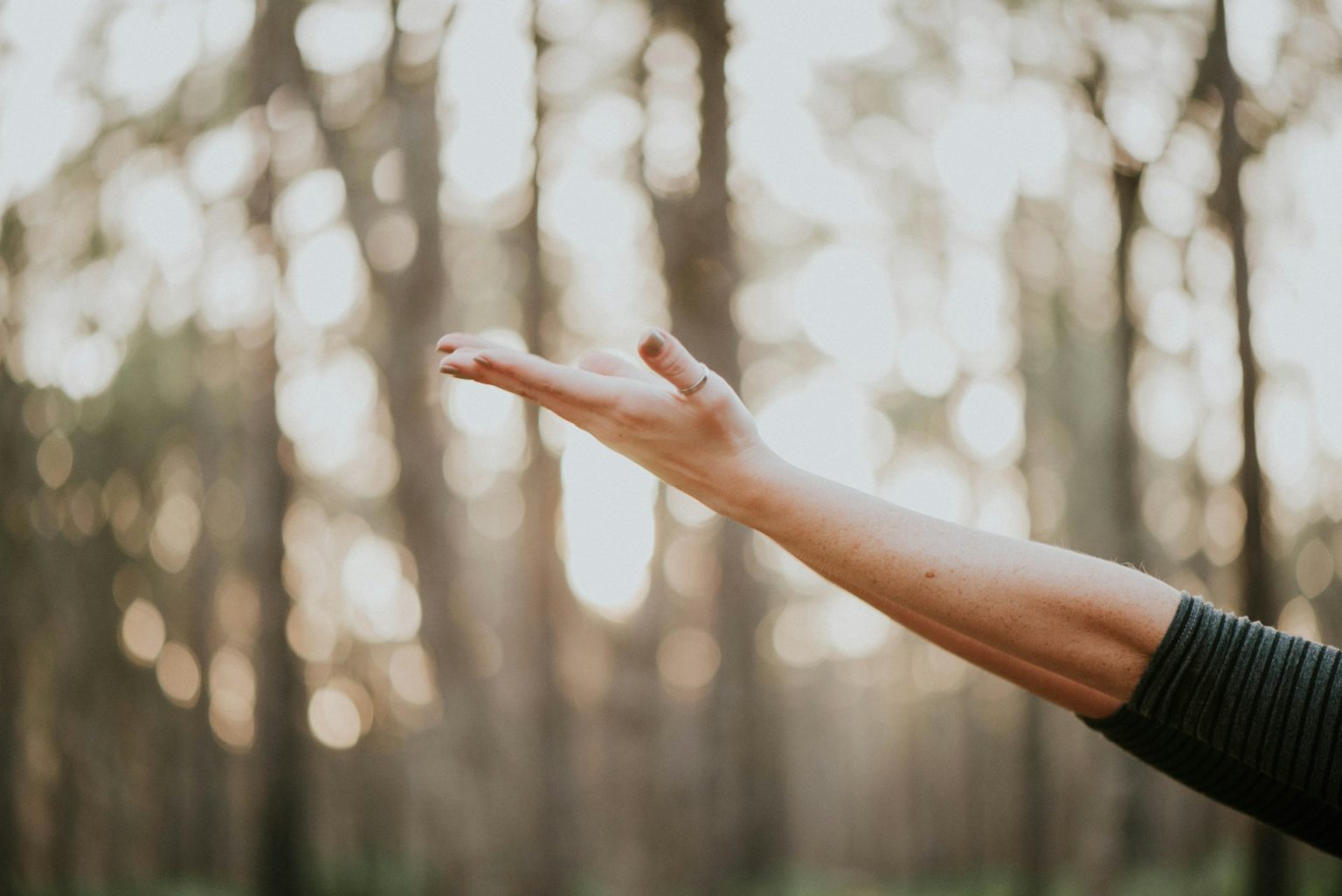 The Future of Wellness: Top Holistic Health Trends to Watch in 2025